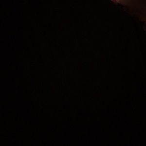 Meet your Posher, Shelbyshelby